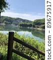 Spring scenery 89675917