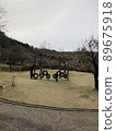 Park play 89675918