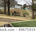  park 89675919