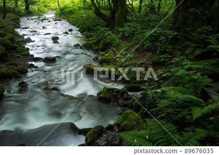 Summer of the Kitanizawa mountain stream Summer of the Kitanizawa mountain stream 89676035