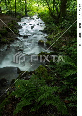 Summer of the Kitanizawa mountain stream Summer of the Kitanizawa mountain stream 89676036