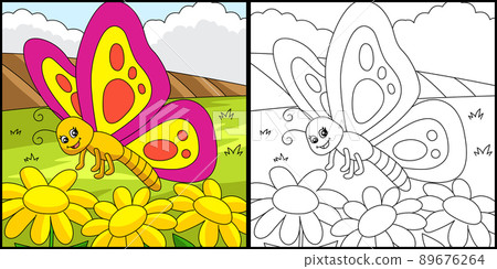 Butterfly Coloring Page Colored Illustration 89676264