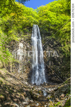 Fresh green Tamasudare Falls 89676304