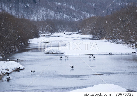 Cranes of the Snow River Cranes of the Snow River 89676325