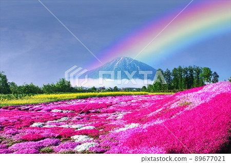 七彩彩虹的花田 七彩彩虹的花田 89677021