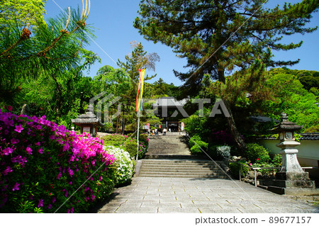 Hasedera Button Nara Prefecture Hasedera Button Nara Prefecture 89677157