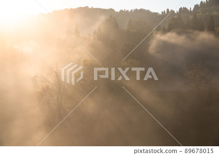《Niigata Prefecture》 Forest light beam, Hoshitoge 89678015