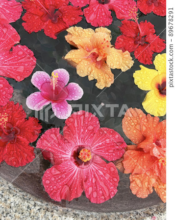 鮮花歡迎 89678291