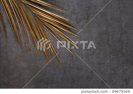 closeup of golden palm leaf on dark grey background 89679569