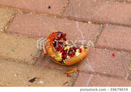 Old and overripe pomegranates on a tree in a city park in Israel Old and overripe pomegranates on a tree in a city park in Israel 89679659