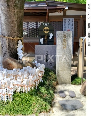 京都御神社正殿前的靈魂樹“Zatate Yakushi” 89680506