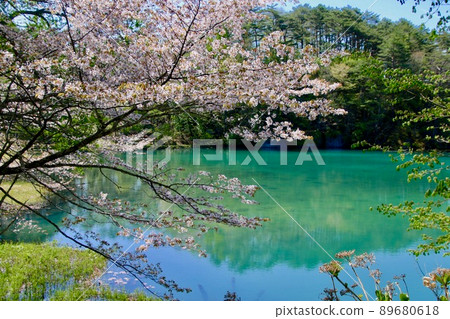 Spring Goshikinuma and Mt. Bandai (Kitashiobara Village, Fukushima Prefecture) 89680618