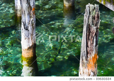 Clear and lush lake water and wood Clear and lush lake water and wood 89680884