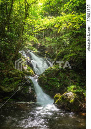 茨城縣日立宮市鮮綠橫川下瀧 89681305