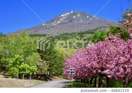 Tengedai Yaezakura (Fukushima Prefecture, Inawashiro Town) 89681529