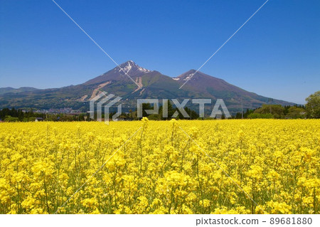 油菜花田和萬代山(福島縣豬苗代町) 油菜花田和萬代山(福島縣豬苗代町) 89681880