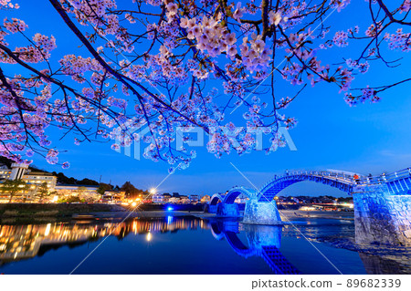 Illuminated Sakura and Kintaikyo Bridge, Iwakuni City, Yamaguchi Prefecture 89682339
