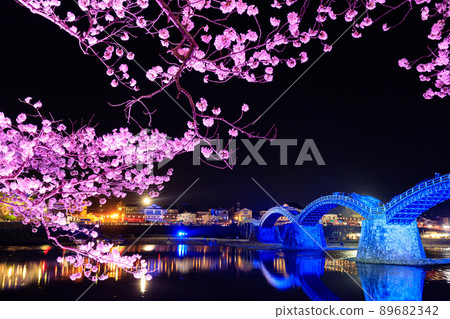 Illuminated Sakura and Kintaikyo Bridge, Iwakuni City, Yamaguchi Prefecture 89682342