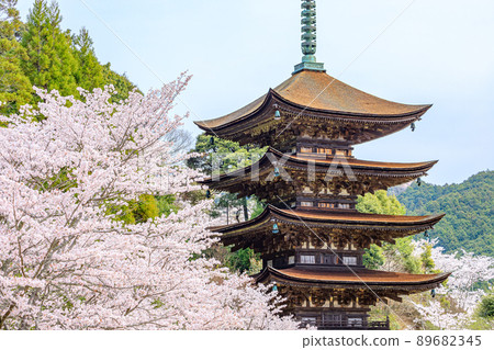 Sakura and Ruriko-ji Five-storied Pagoda Yamaguchi City, Yamaguchi Prefecture 89682345