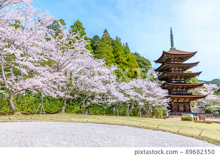 山口縣山口市櫻花與琉璃子五層塔 89682350