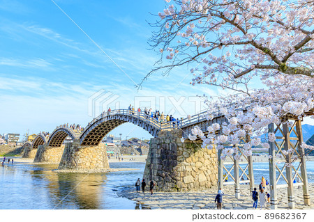 山口縣岩國市櫻花錦帶橋 山口縣岩國市櫻花錦帶橋 89682367