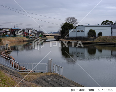 手賀川的風景 手賀川的風景 89682700