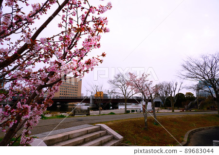 Sakura, Nusamai Bridge and Kushiro River Spring Hokkaido 89683044