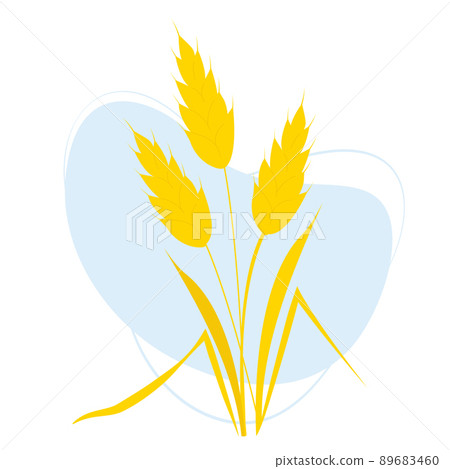 Bouquet of spikelets of wheat . Vector illustration 89683460