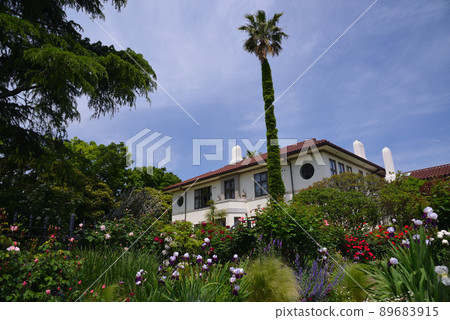 Yokohama buried in rose flowers, hill park with a view of the harbor, Yamashita Park 89683915