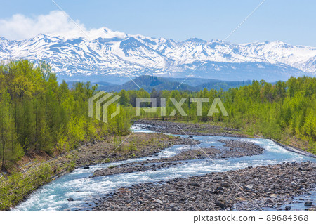 Fresh green Biei River 89684368