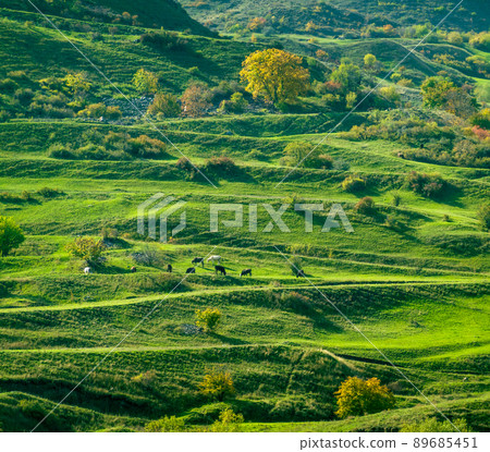 Green pasture on mountain slope Green pasture on mountain slope 89685451