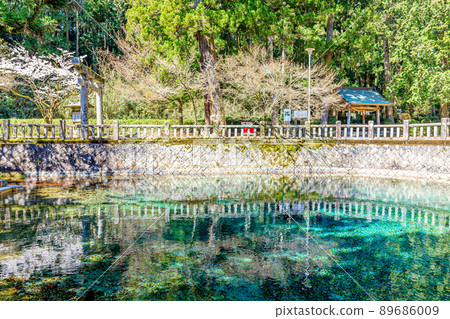 山口縣美谷市春天的別府弁天池 山口縣美谷市春天的別府弁天池 89686009