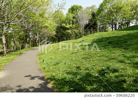 登上星見綠地的觀景山·春天 89686220