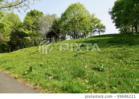 Climb the view mountain in Hoshimi Ryokuchi ・ Spring 89686221
