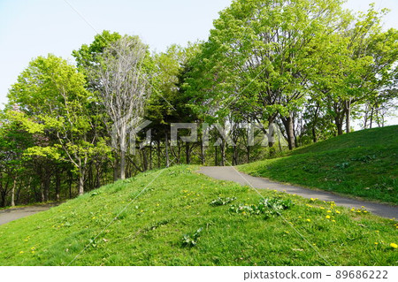 Climb the view mountain in Hoshimi Ryokuchi ・ Spring 89686222