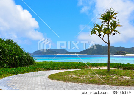 慶良間群島 座間味島 Ama Beach 89686339