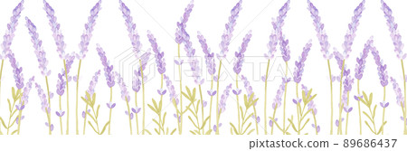 用水彩畫的薰衣草花田 用水彩畫的薰衣草花田 89686437