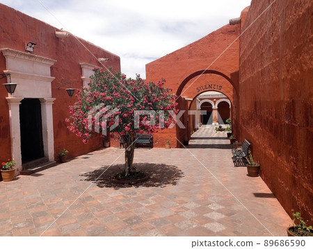 [Peru] Reddish brown building and beautiful pink flowers (Arequipa) in Santa Catalina Monastery 89686590