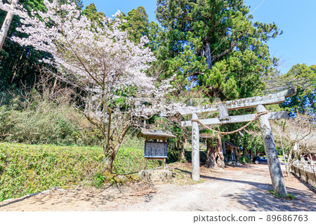 泉別府弁天池（別府島神社）山口縣礦山市 89686763