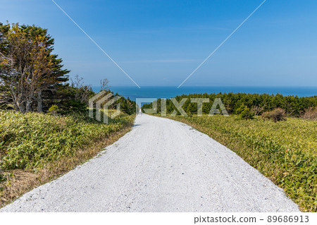 White road with scallop shells 89686913