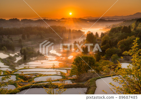 《Niigata Prefecture》 Hoshitoge Rice Terraces / Original scenery of Japan 《Niigata Prefecture》 Hoshitoge Rice Terraces / Original scenery of Japan 89687485