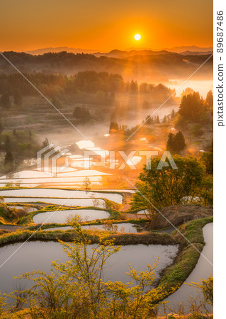 《Niigata Prefecture》 Hoshitoge Rice Terraces / Original scenery of Japan 《Niigata Prefecture》 Hoshitoge Rice Terraces / Original scenery of Japan 89687486