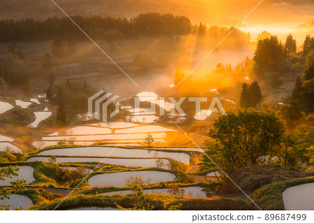《Niigata Prefecture》 Hoshitoge Rice Terraces / Original scenery of Japan 89687499