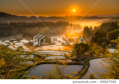 《Niigata Prefecture》 Hoshitoge Rice Terraces / Original scenery of Japan 89687500