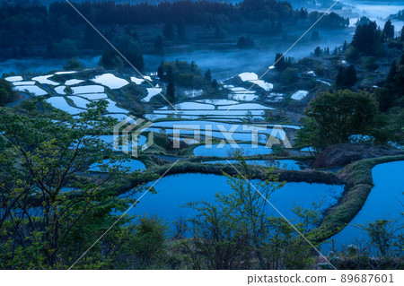 《Niigata Prefecture》 Hoshitoge Rice Terraces / Original scenery of Japan 《Niigata Prefecture》 Hoshitoge Rice Terraces / Original scenery of Japan 89687601
