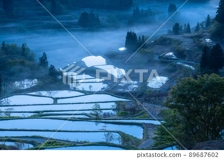 《Niigata Prefecture》 Hoshitoge Rice Terraces / Original scenery of Japan 《Niigata Prefecture》 Hoshitoge Rice Terraces / Original scenery of Japan 89687602