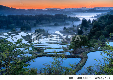 《新潟縣》星登梯田/日本原生態 《新潟縣》星登梯田/日本原生態 89687603