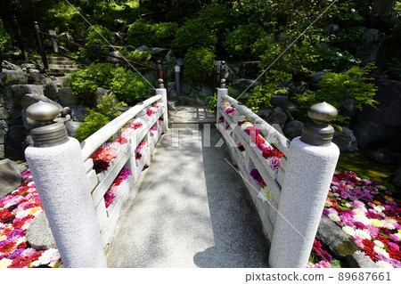 Hana no Ike Hana no Ike 89687661