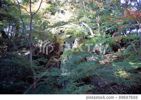 有美麗秋葉的德川園 89687688