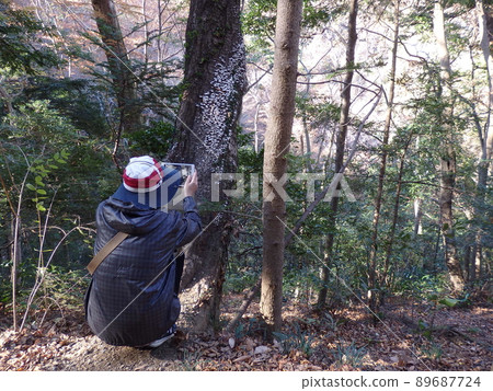 登山 登山 89687724